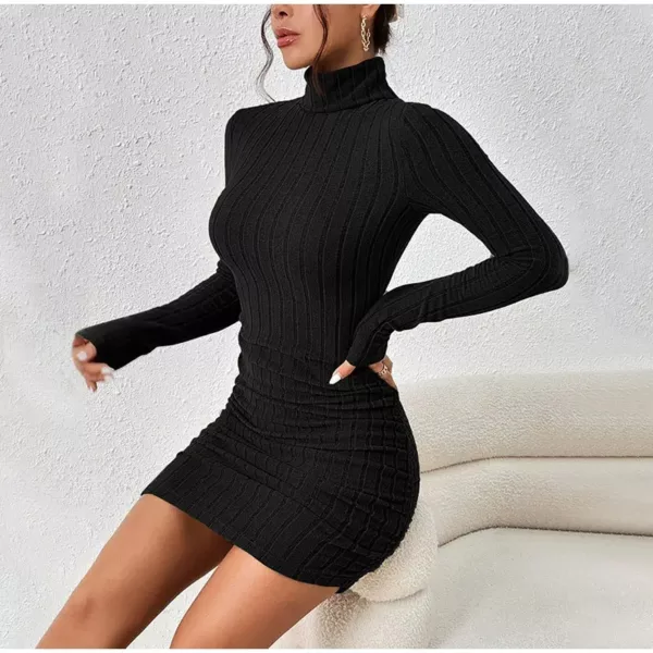 Black Turtleneck Mini Dress - Beniz Kloset (1)